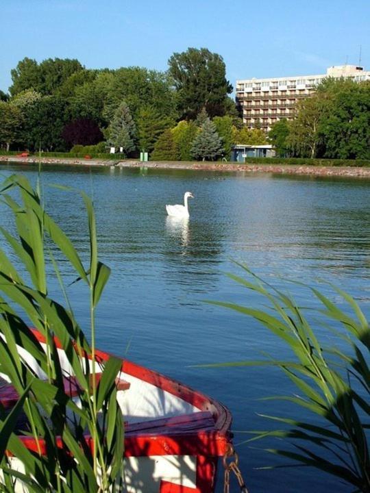 Riviera Park Hotel Balatonföldvár Kültér fotó